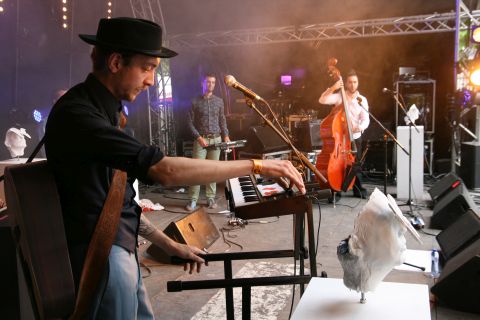 Photo de l'artiste ou du groupe