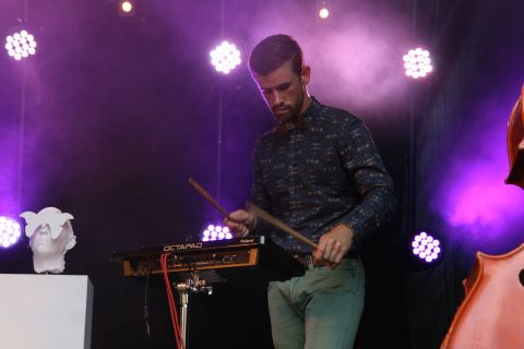 Photo de l'artiste ou du groupe